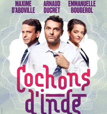 Cochons d'Inde