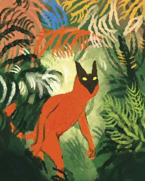 Panno'Kids dans la jungle