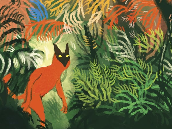 Panno'Kids dans la jungle