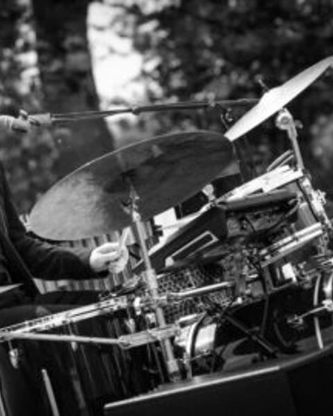 Cosmic # 3 Electroplume