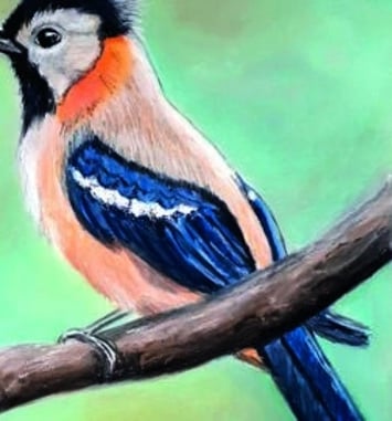 Les oiseaux