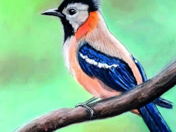 Les oiseaux