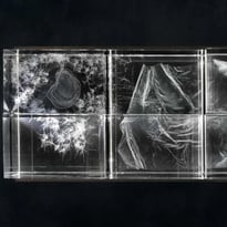 Eva L'Hoest, Calentures