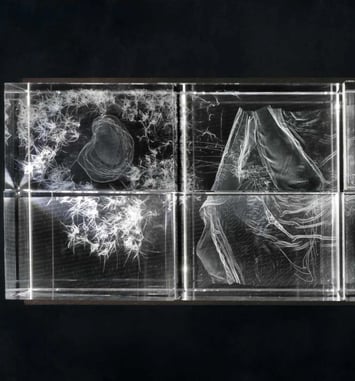 Eva L'Hoest, Calentures
