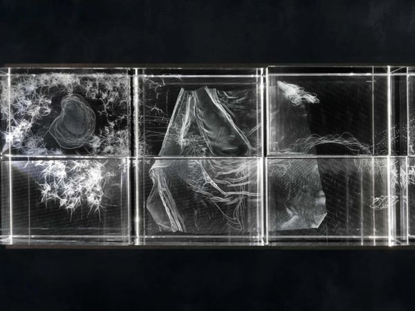 Eva L'Hoest, Calentures
