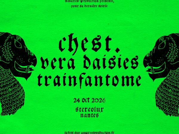 Chest. + Vera Daisies + Trainfantome