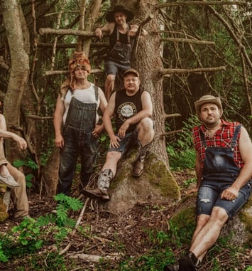 Steve'N'Seagulls