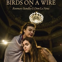 Birds on a Wire, Nuées ardentes
