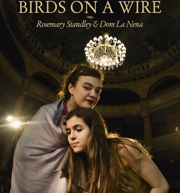 Birds on a Wire, Nuées ardentes