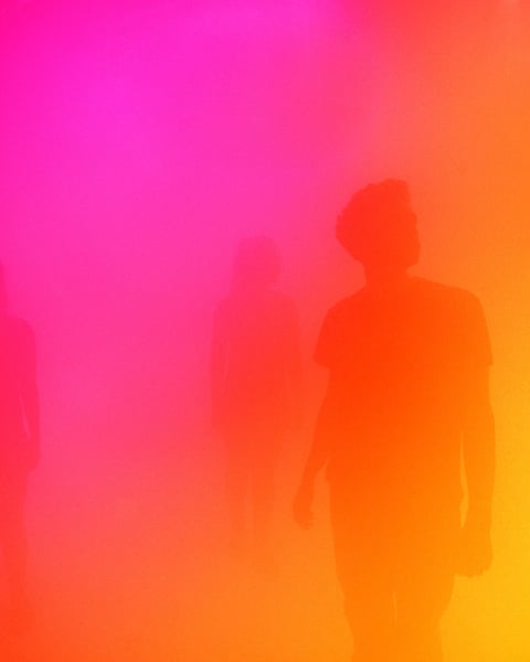 Ann Veronica Janssens
