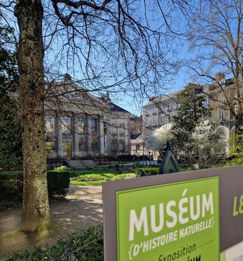 Exposition Le Muséum au fil du temps