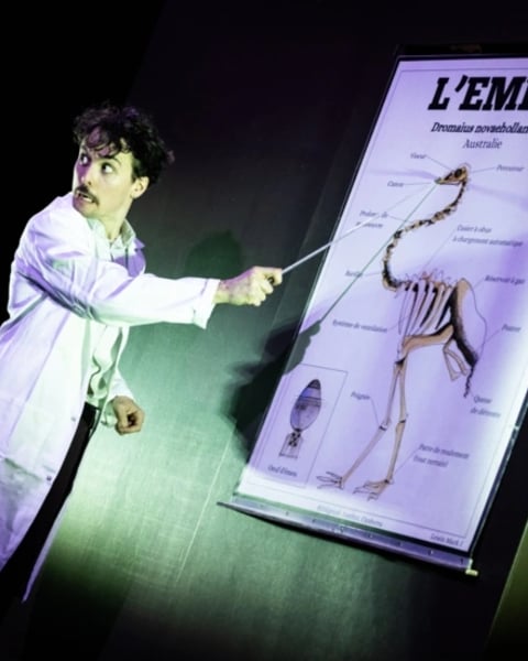 La guerre des émeus