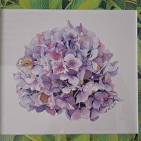 Exposition d'aquarelles et de pastels