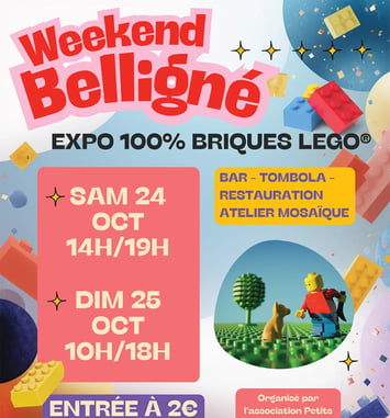 Exposition 100% briques LEGO