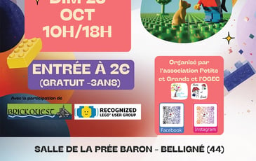 Exposition 100% briques LEGO