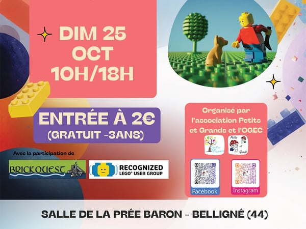 Exposition 100% briques LEGO