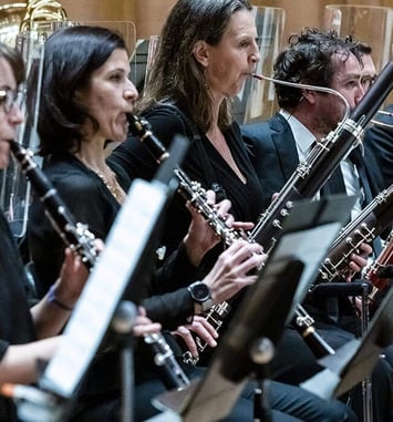 Pause-concert, septuor cordes et vents