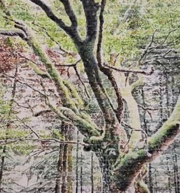Restons branchés
