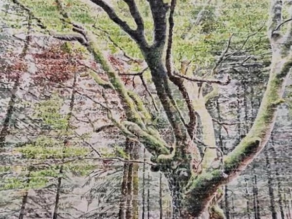 Restons branchés