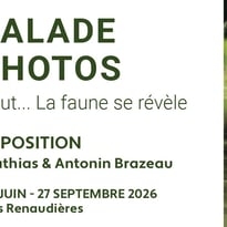 Balade photos 2026