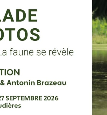 Balade photos 2026