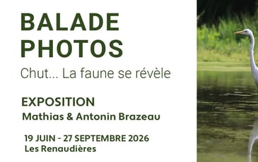 Balade photos 2026