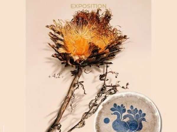 Exposition - Éteindre la démesure