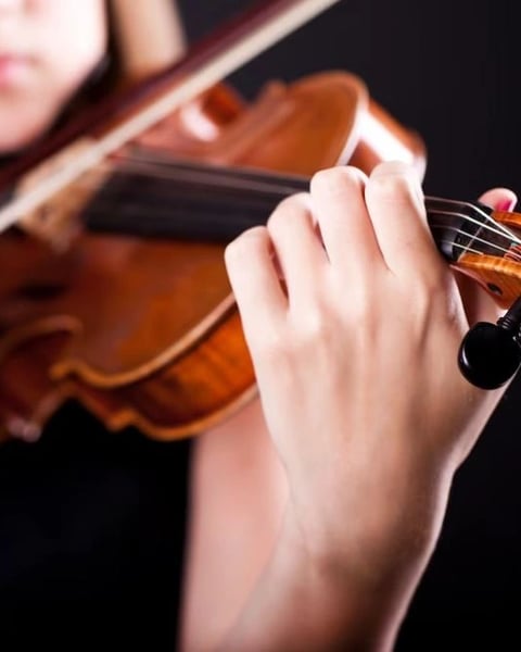 Concert Quator Musicandis