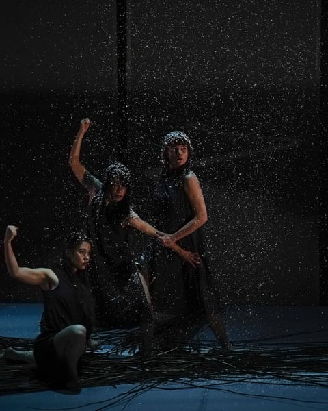 Spectacle "Chute" - Compagnie Kokshi
