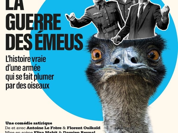 La guerre des émeus