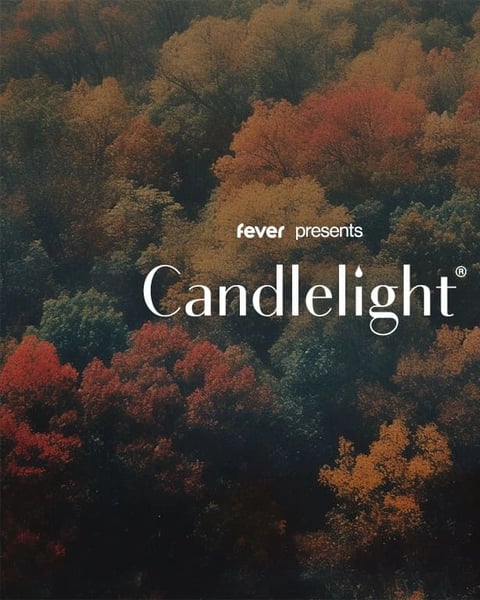 Candlelight : le meilleur de Ludovico Einaudi
