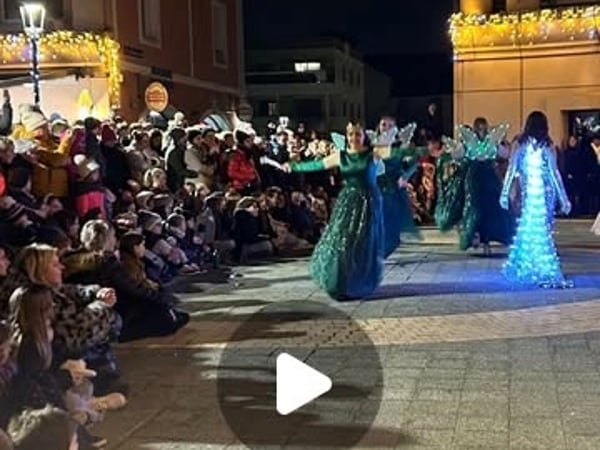 Noël en Lumière - Arbre de Noël de Tourisme et Loisirs Nantes Rezé