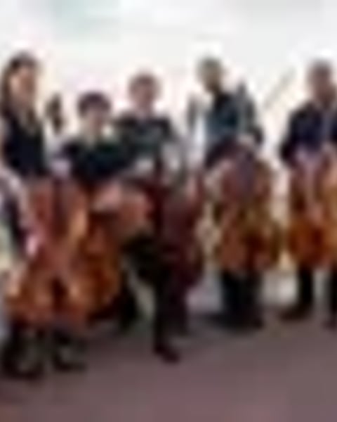 Bel-Ami Celli quintet violoncelle