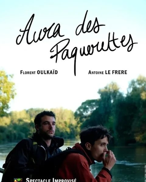 Aura des pâquerettes