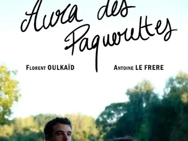 Aura des pâquerettes