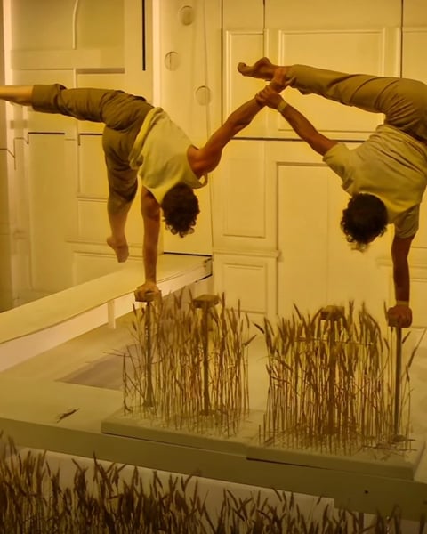 Spectacle de Noël : L'univers du cirque
