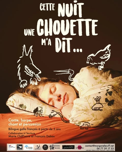 Cette nuit une chouette m'a dit