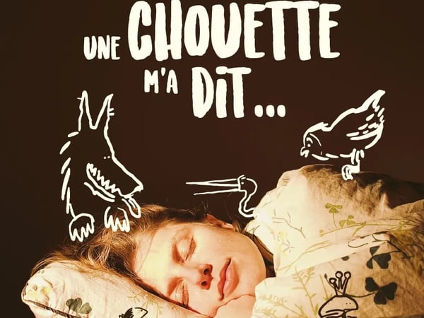 Cette nuit une chouette m'a dit