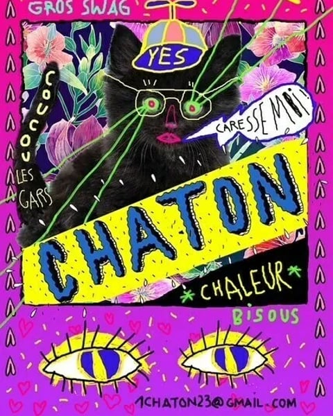 Orchestre chaton