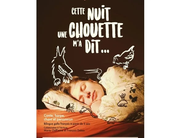 Cette nuit, une chouette m'a dit