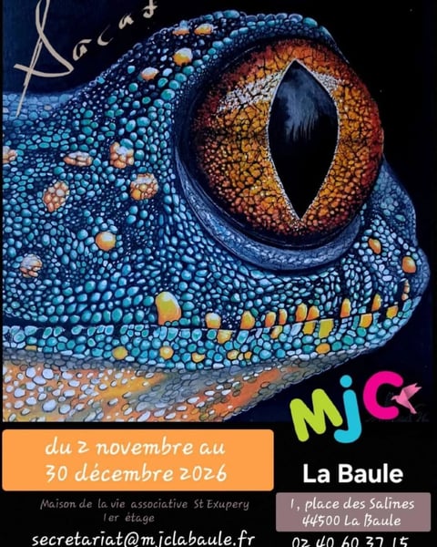 Exposition - Sacad'